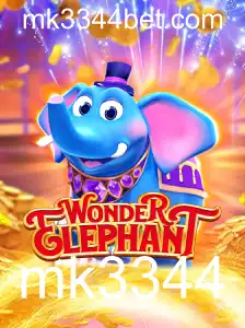Descubra WonderElephant: O Fascinante Mundo dos Elefantes em Ação